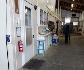 Woodland View Equine Services Inc