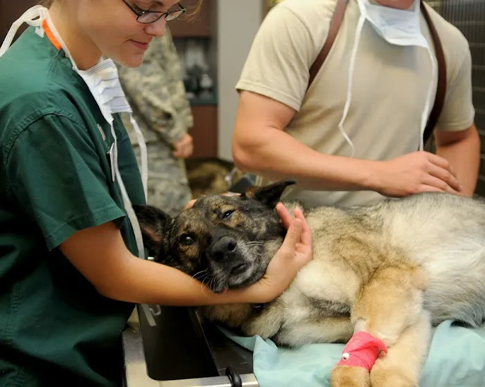 Wapakoneta Animal Hospital 12
