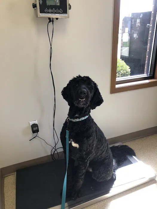 Veterinary Medical Center of Independence 12