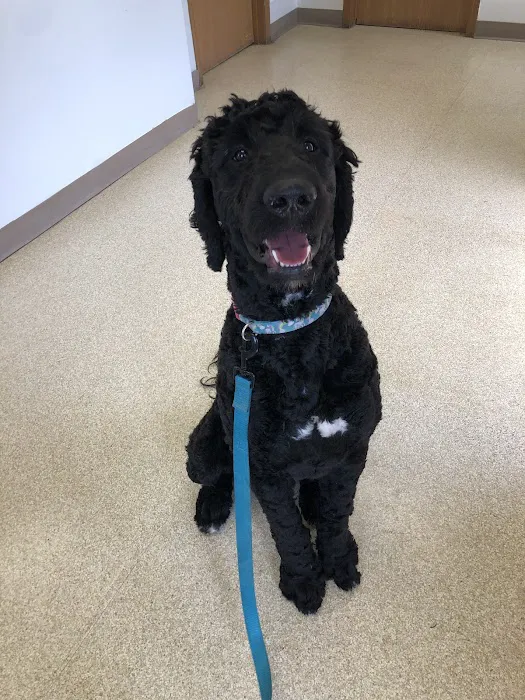 Veterinary Medical Center of Independence 12