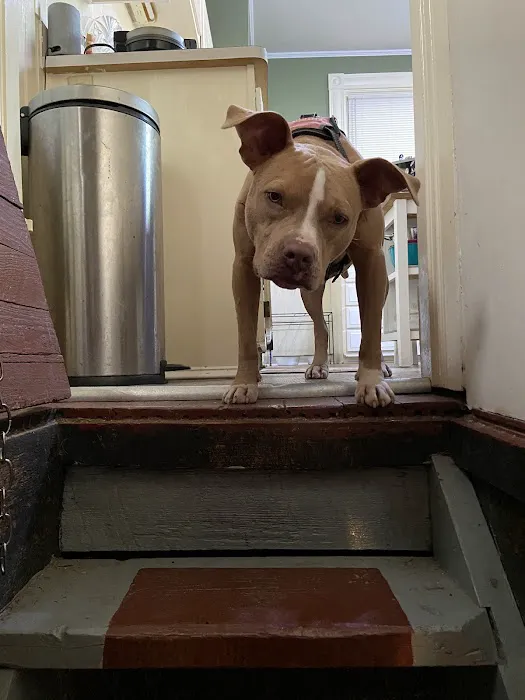 Veterinary Medical Center of Independence 12