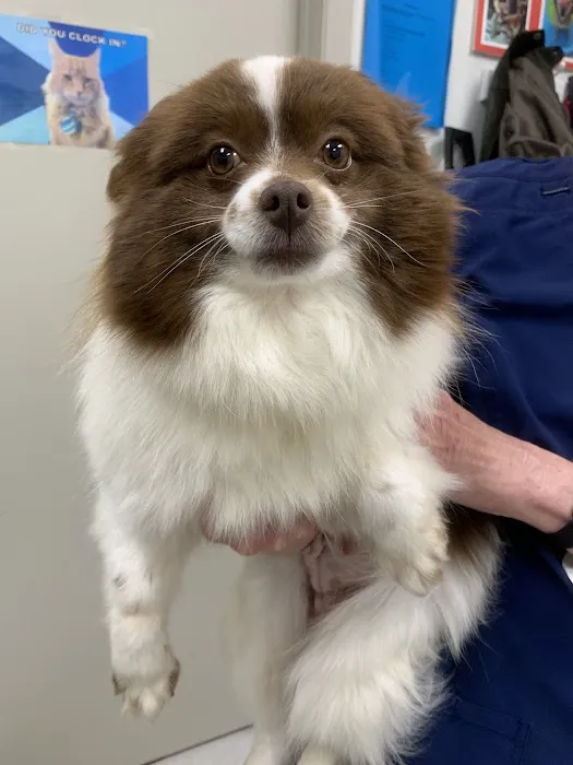 Heekin Animal Hospital 12
