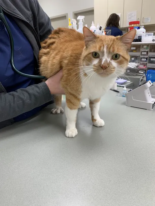Heekin Animal Hospital 12