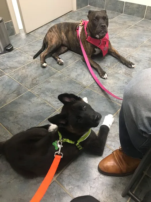 Heekin Animal Hospital 12