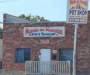 Mundo De Mascotas