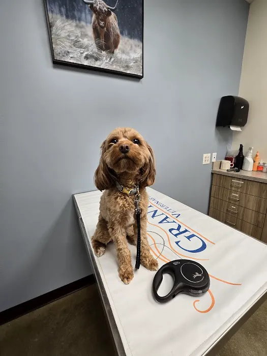 Grants Lick Veterinary Hospital 12