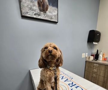 Grants Lick Veterinary Hospital