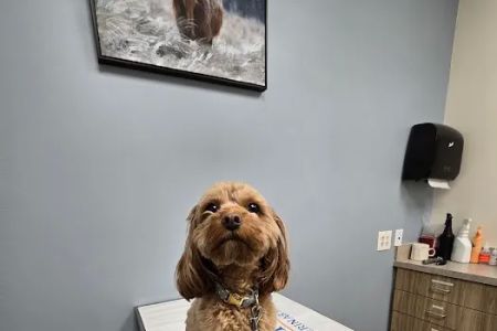 Grants Lick Veterinary Hospital