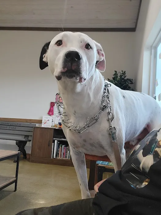Grants Lick Veterinary Hospital 12
