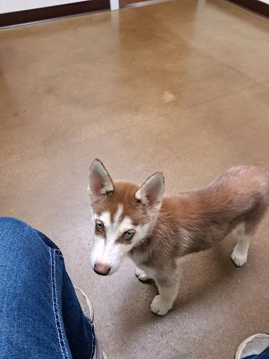 Grants Lick Veterinary Hospital 12