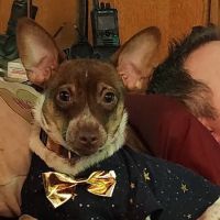 Paws & Claws Animal Hospital ico