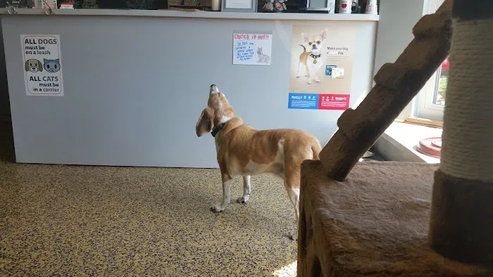 Paws & Claws Animal Hospital 12