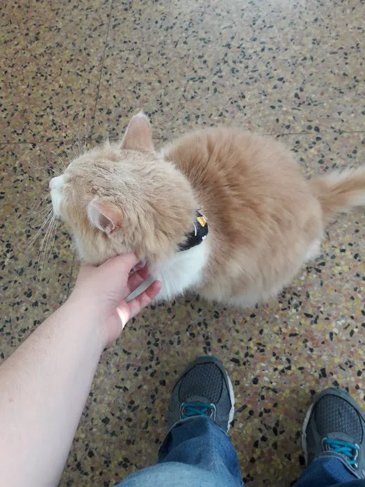 Paws & Claws Animal Hospital 12
