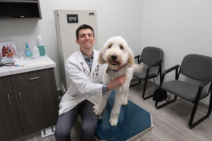 Heineke Veterinary Hospital 12