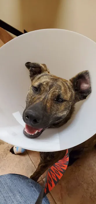 Gailor Animal Hospital: Herre Adam DVM 12