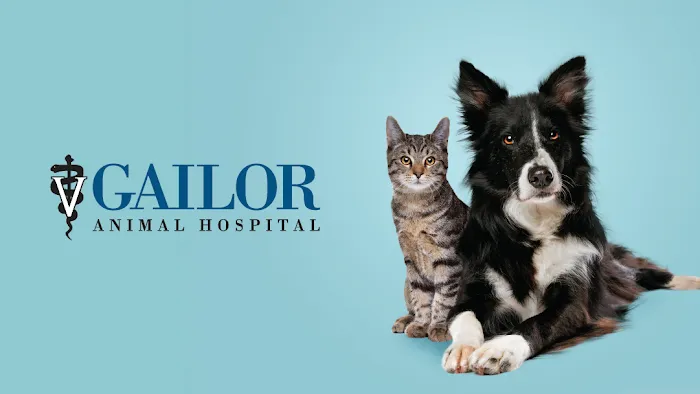 Gailor Animal Hospital 8