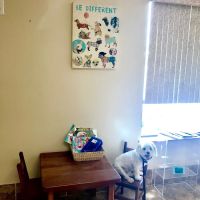 Gailor Animal Hospital ico