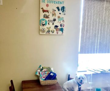 Gailor Animal Hospital