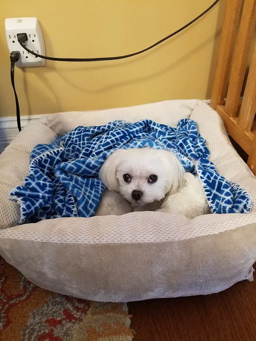 Gailor Animal Hospital 4