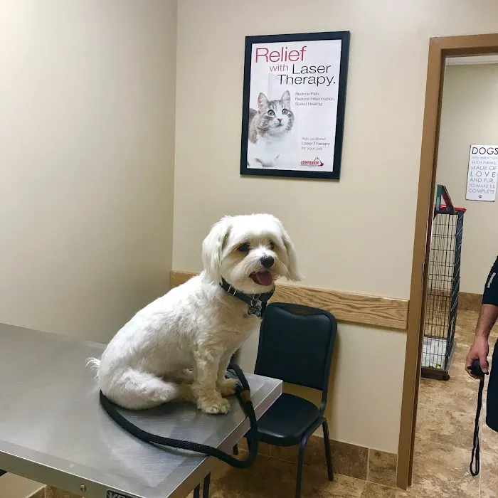 Gailor Animal Hospital 3