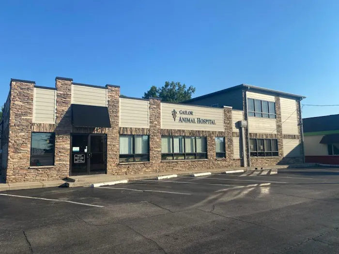 Gailor Animal Hospital 7