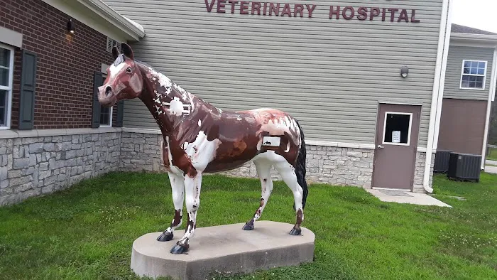 Bannon Woods Veterinary Hospital 12