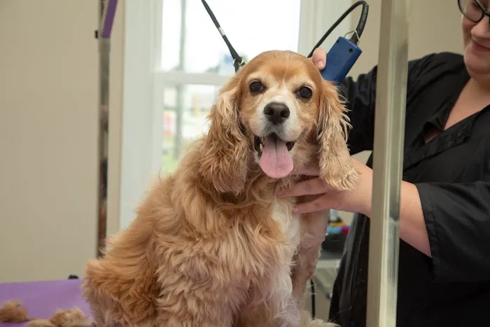 Bannon Woods Veterinary Hospital 12