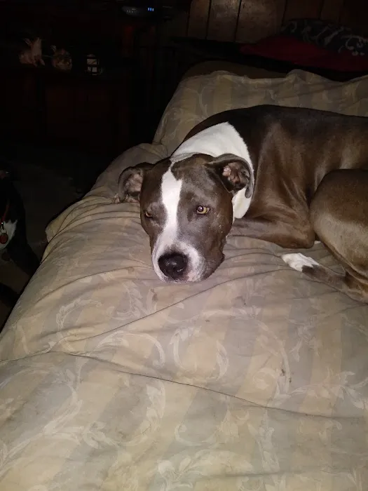 Bannon Woods Veterinary Clinic: Adrienne Robertson DVM 12