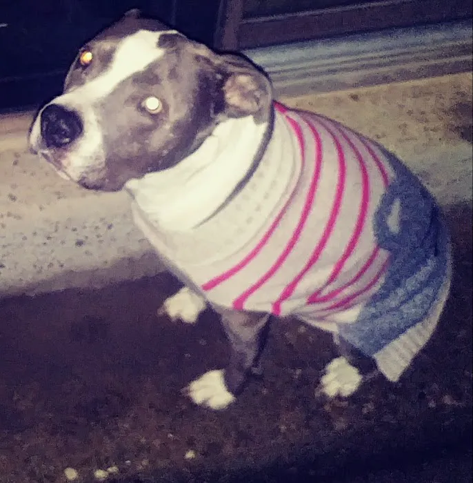 Bannon Woods Veterinary Clinic: Adrienne Robertson DVM 12