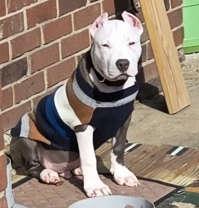 Bannon Woods Veterinary Clinic: Adrienne Robertson DVM 12