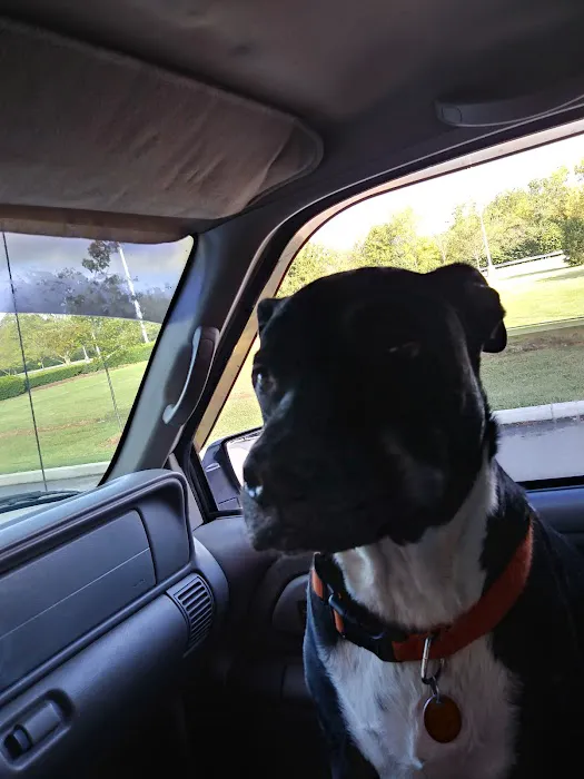 Bannon Woods Veterinary Clinic: Adrienne Robertson DVM 12