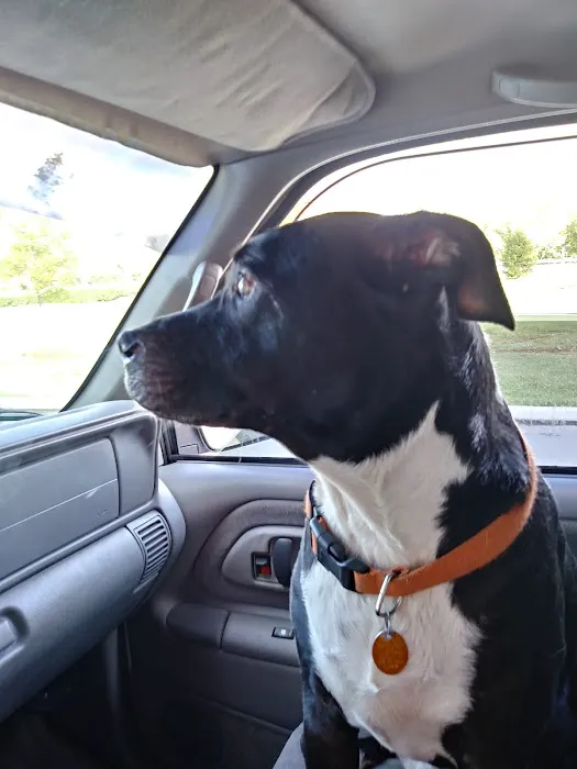 Bannon Woods Veterinary Clinic: Adrienne Robertson DVM 12