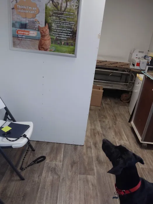 Cornerstone Animal Clinic PLLC 12