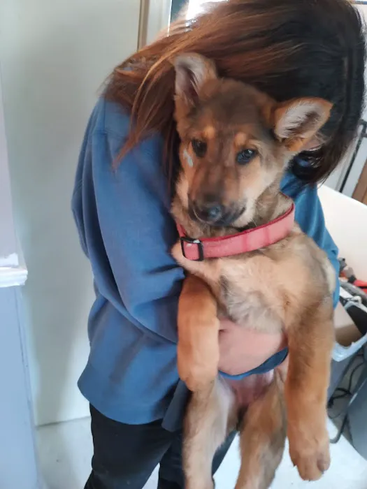 Midway Veterinary Clinic 12