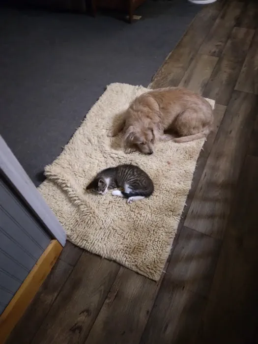 Midway Veterinary Clinic 12