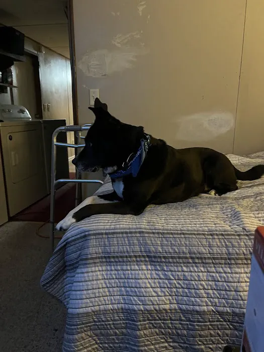 Midway Veterinary Clinic 12