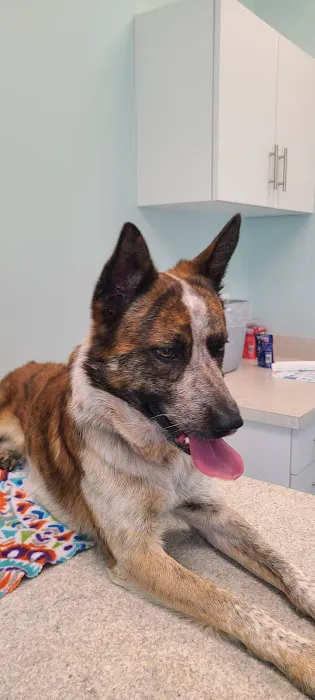 Vine Grove Veterinary Hospital 3