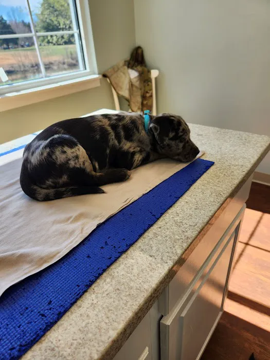 Vine Grove Veterinary Hospital 1