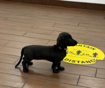 Fort Knox Veterinary Treatment Facility