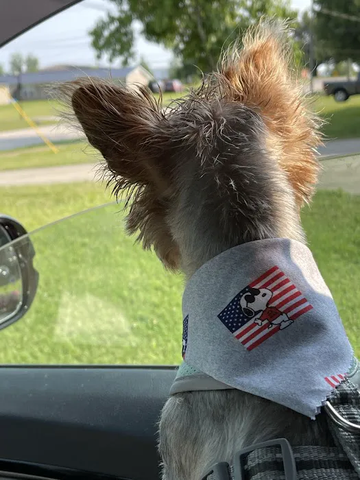 Fort Knox Veterinary Treatment Facility 12