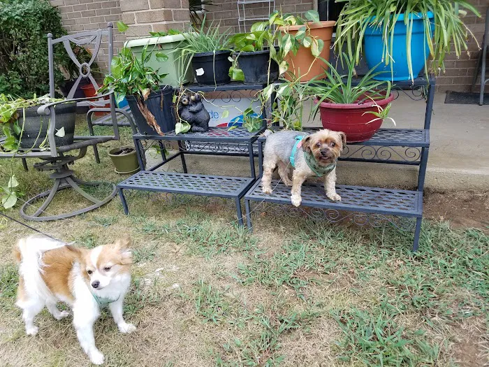 Bluegrass Animal Care Center-Radcliff 12