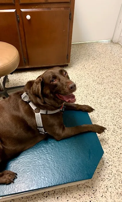 Bluegrass Animal Care Center-Radcliff 12