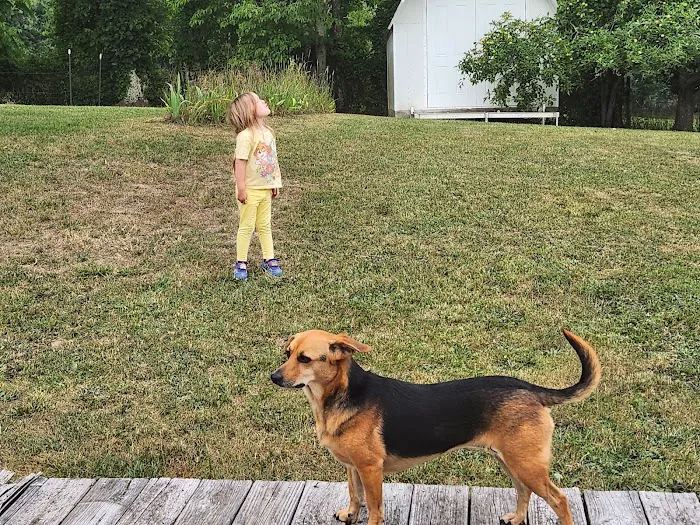 Bluegrass Animal Care Center-Radcliff 12