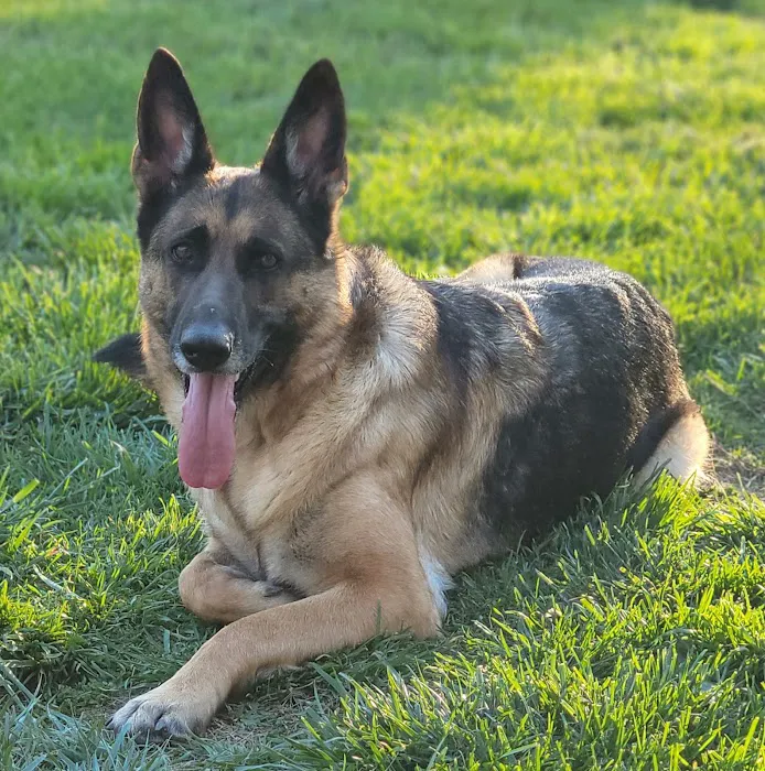 Bluegrass Animal Care Center-Radcliff 12
