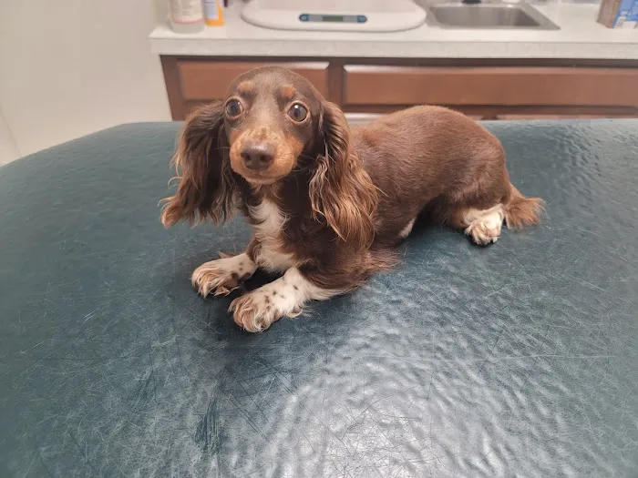 Bluegrass Animal Care Center-Radcliff 12