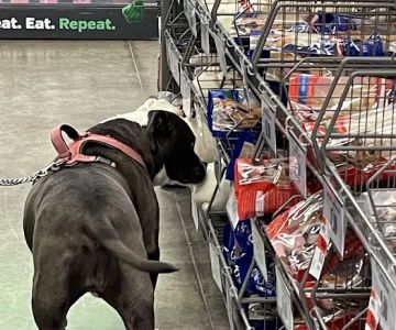 Pet Supplies Plus Weatherford
