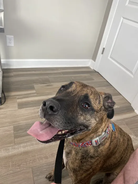 Derby City’s Crossroads Animal Hospital 12