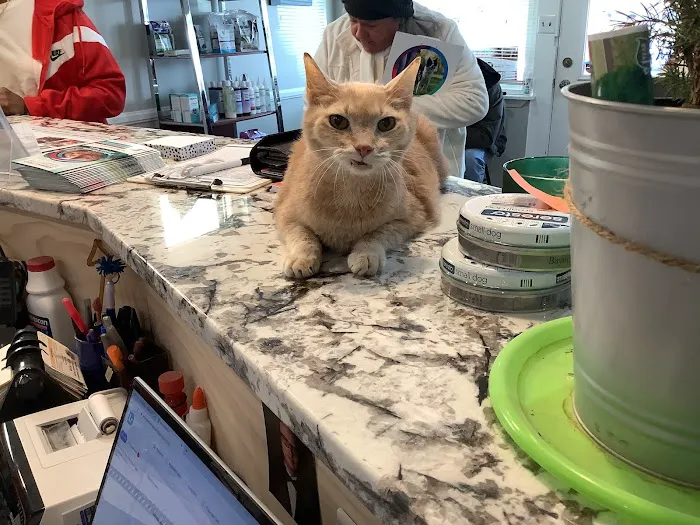 Derby City’s Crossroads Animal Hospital 12