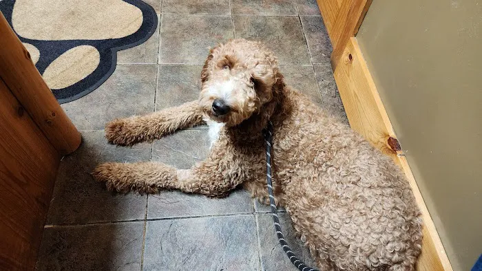Finchville Animal Hospital 12