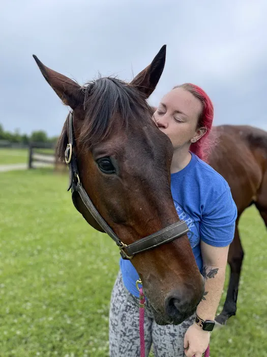 Kentucky Equine Hospital 1